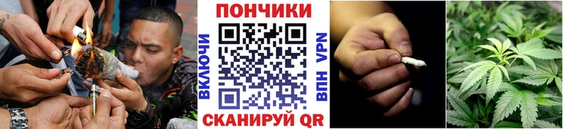 где продают наркотики  Печоры  Бошки марихуана индика 